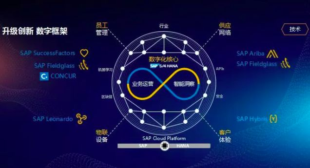 SAP軟件產業生態圈